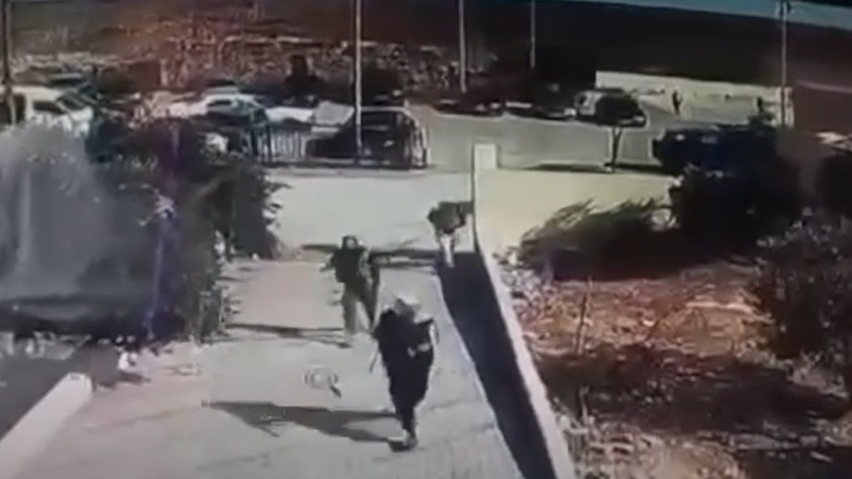 Default Alt
